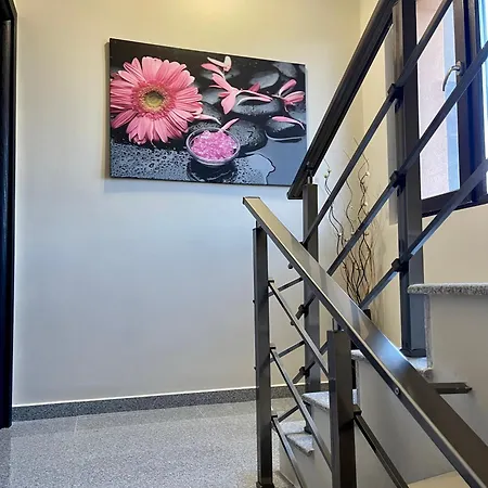 게스트하우스 Boris House 오그냐노보