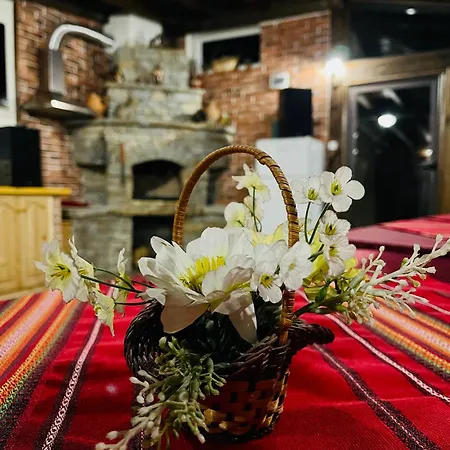 게스트하우스 Boris House