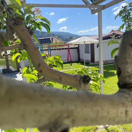 Boris House Pensjonat