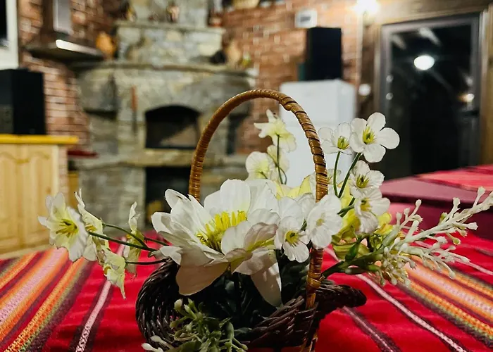 Pensjonat Boris House