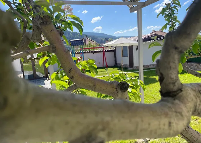 Boris House Pensjonat